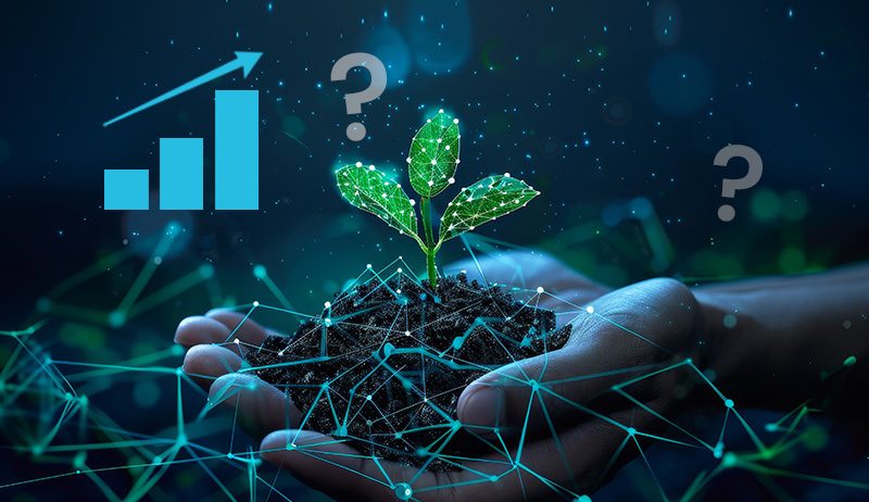 sustainable business