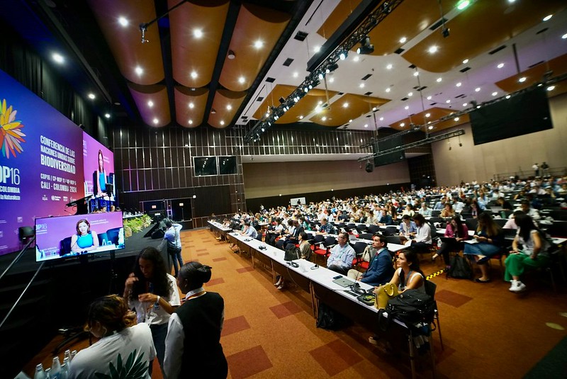 Business and biodiversity summit held on the sidelines of COP16 in Cali, on 17 October, 2024.