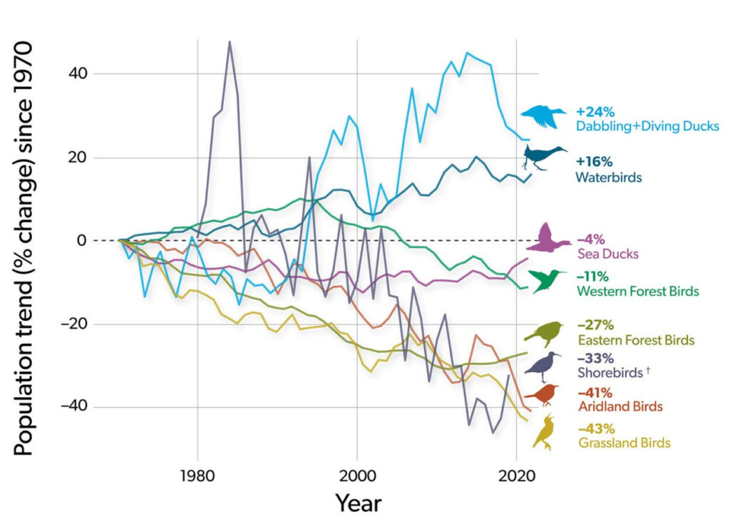 Population trend of eight groups of birds, since 1970. Source: State of the Birds report (2025).