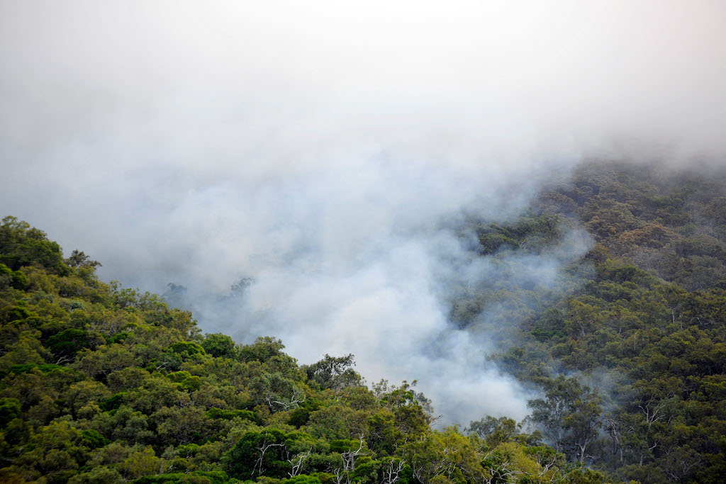 Fire in a tropical rainforest in Daintree National Park, Australia in 2009. Credit: imageBROKER.com / Alamy Stock Photo. Iage ID: BE2X91.