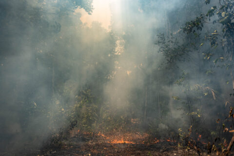 Nossa Senhora de Fatima (Amazonas), 10th Oct 2023 - Uncontrolled forest fires are raging in the area near the Nossa Senhora de Fatima community, close to the Rio Negro