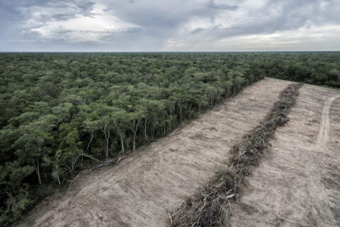 An aerial view of a deforested zone in "Ñembi Guasu" conservation area, in Bolivia.