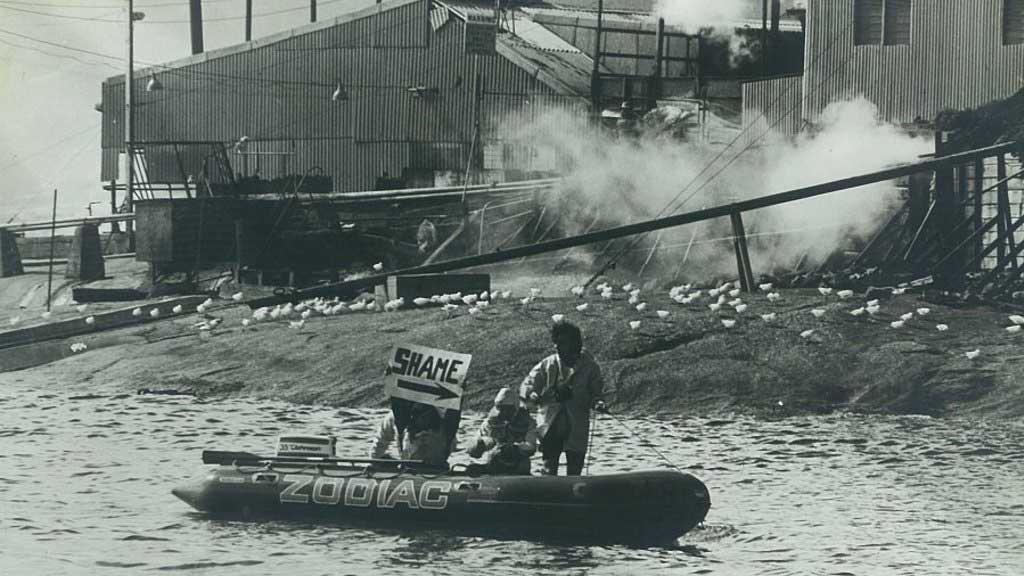 1977 protests outside the last whaling station in Australia in Albany, Western Australia. Photo from the book, The Last Whale. Credit: Jonny Lewis Collection © Jonny Lewis Collection 1977 protests outside the last whaling station in Australia in Albany, Western Australia. Photo from the book, The Last Whale. Credit: Jonny Lewis Collection © Jonny Lewis Collection