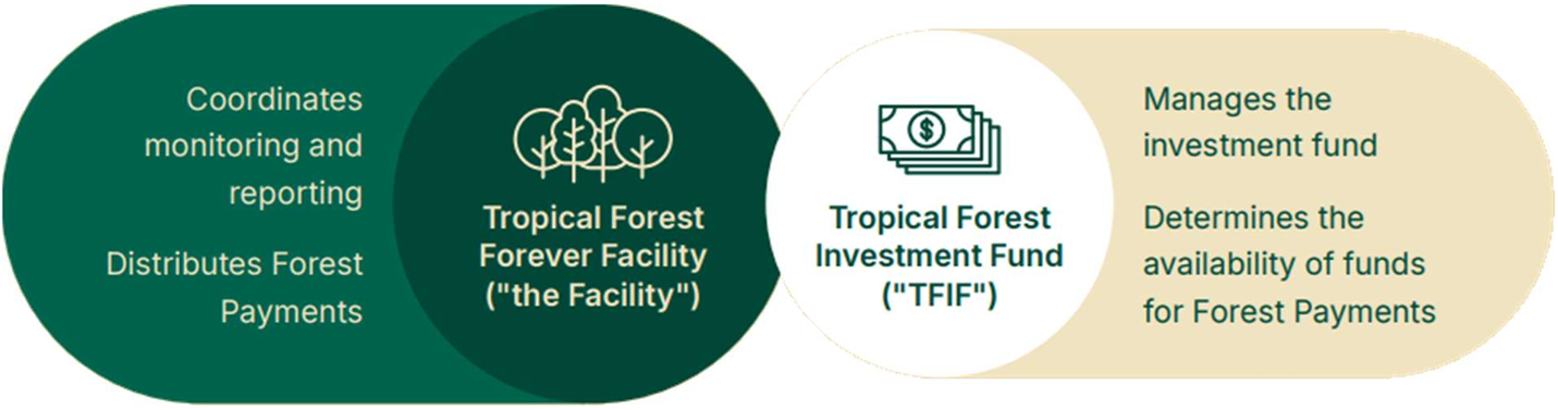 Graphic showing the TFFF governance scheme