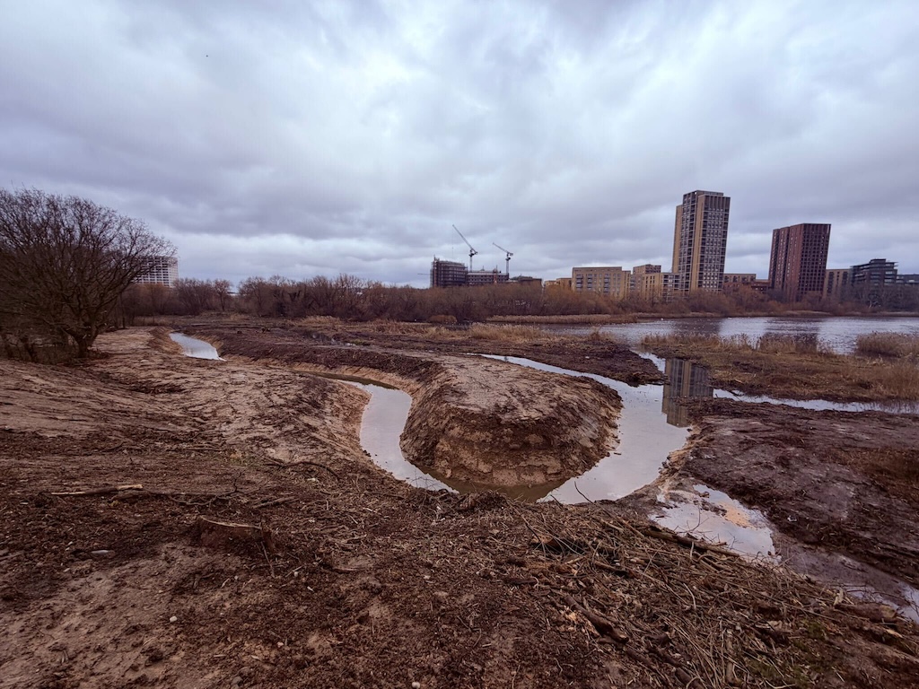 Channels dug for wildlife at the Welsh Harp reservoir in London. Credit: Ben MacMillan