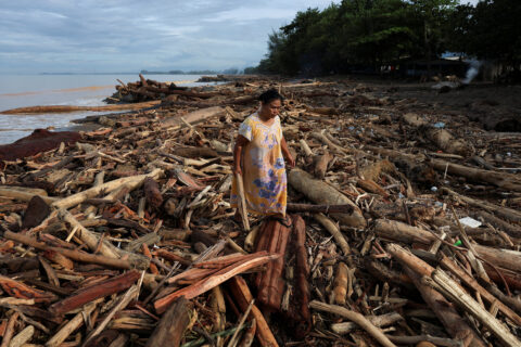 A woman walks among tree trunks stranded on a shore following deadly flash floods and landslides, in Padang, West Sumatra province, Indonesia
