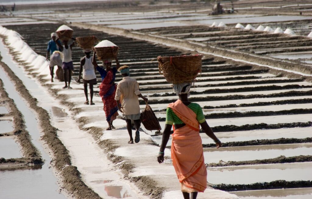 Salt pan workers in south India endure high occupational heat stress.