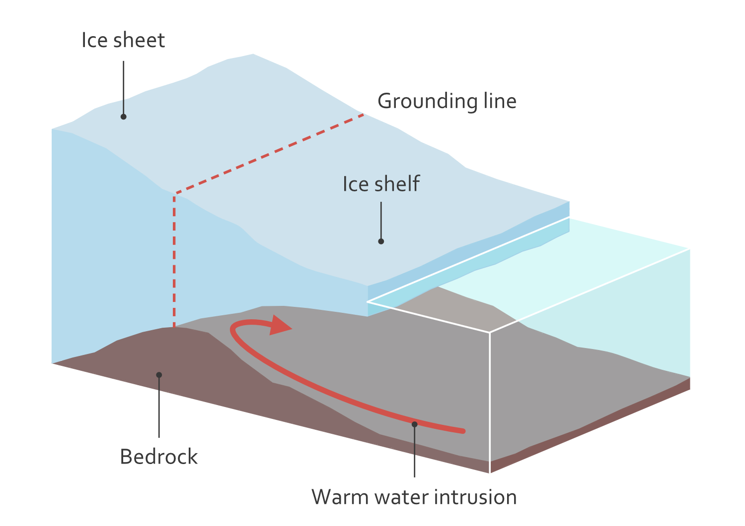 Illustration of an Antarctic ice sheet, showing the grounding line where grounded ice transitions to floating ice, and how warm ocean water intrudes beneath the ice shelf, melting it from below. 