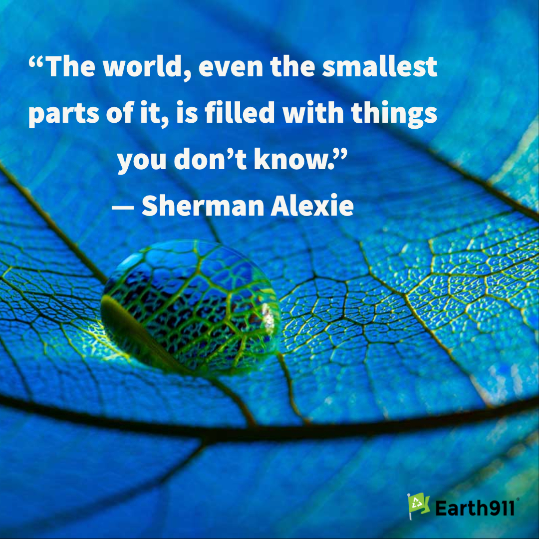 "The world, even the smallest parts of it, is filled with things you don't know." -- Sherman Alexie