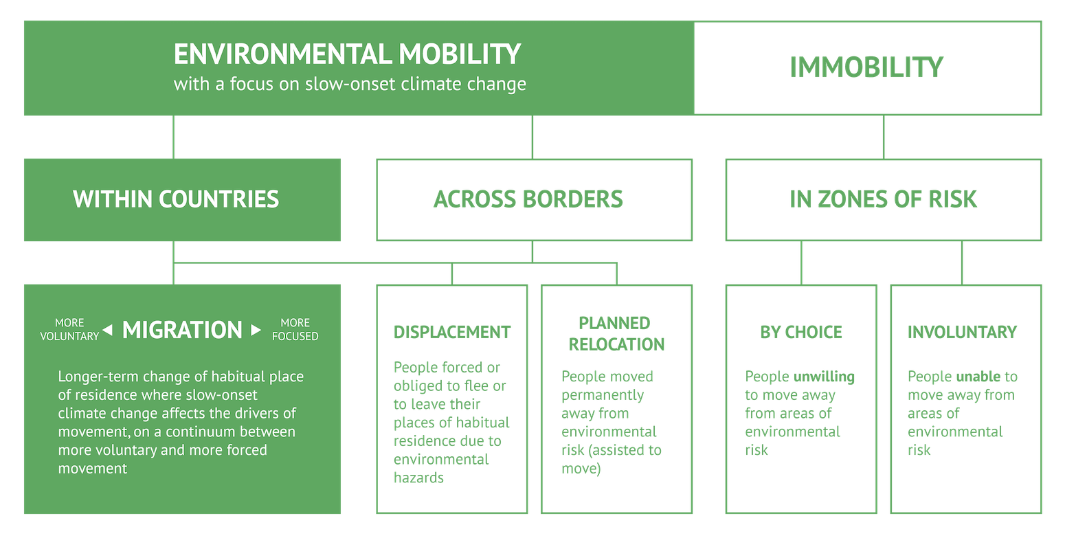 Different categories of human mobility and immobility due to climate change