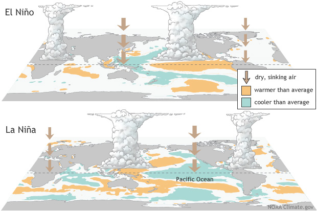 a graphic depicting the el niño and la niña phenomena