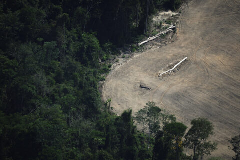 An aerial view shows a deforested plot of the Amazon during a Greenpeace flyover amid the UN Climate Change Conference (COP30), near Cachoeira do Piria, state of Para, Brazil, November 13, 2025. (Photo: REUTERS/Adriano Machado)