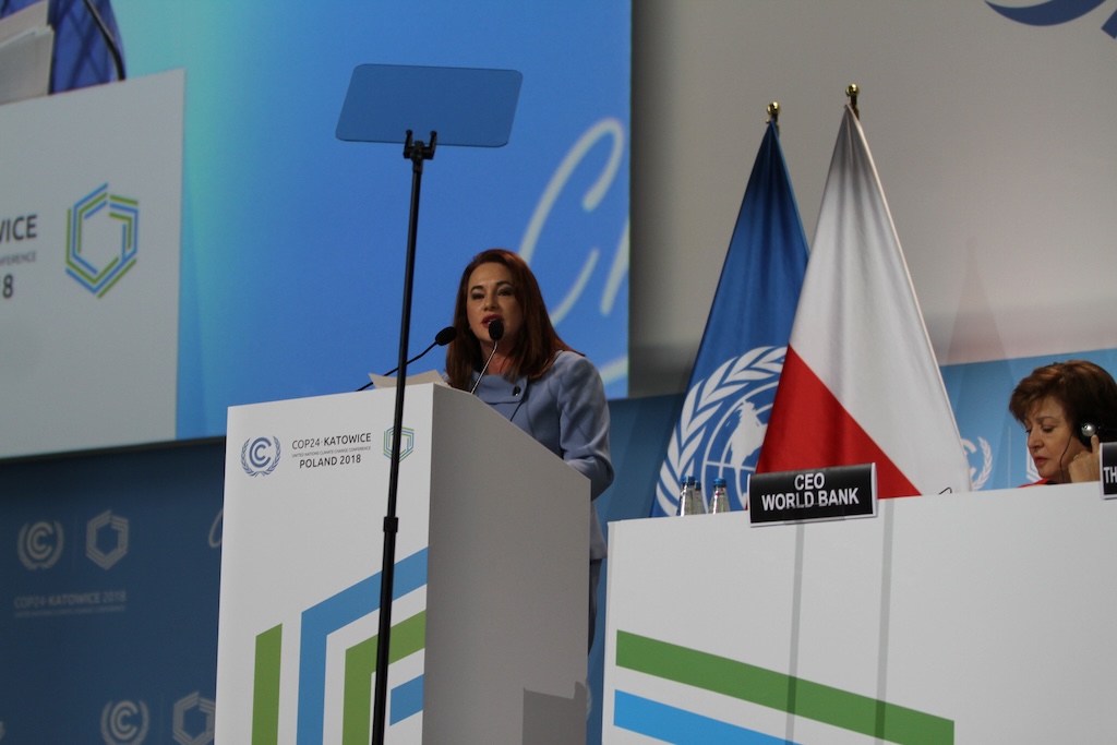María Fernanda Espinosa Garcés, former president of the UN general assembly, speaking at COP24 in Katowice, Poland. Credit: UNFCCC (2018)