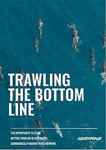 Report Trawling the Bottom Line