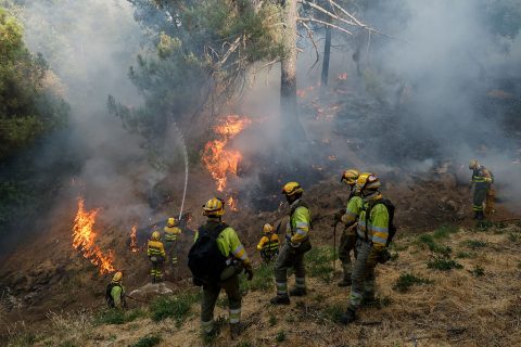 Firefighters battle a wildfire next to La Atalaya neighborhood on July 25, 2026 in El Tiemblo, Madrid, Spain