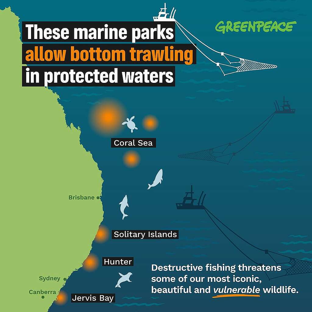 Marine parks on the east coast that allow bottom trawling. 10 marine parks across the whole network allow bottom trawling totalling almost 13 million hectares of ocean habitat for precious wildlife.
