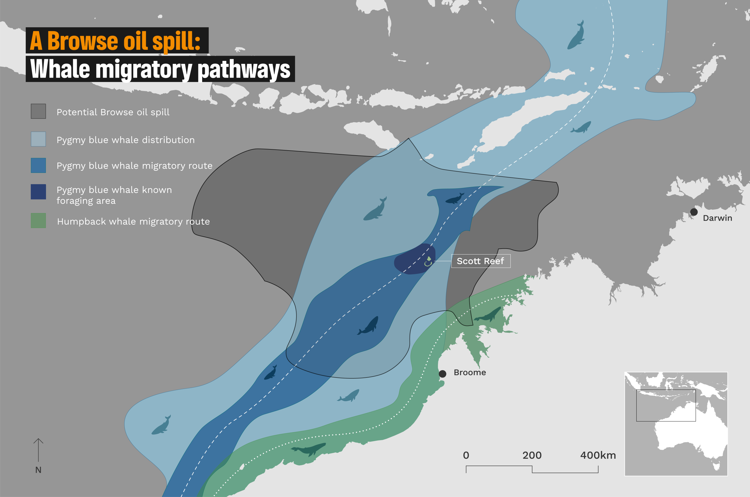 GPAP illustration of pygmy blue whale and humpback whale migration path through Scott Reef and a 'worst case' oil spill senario based on Woodside's own modeling.