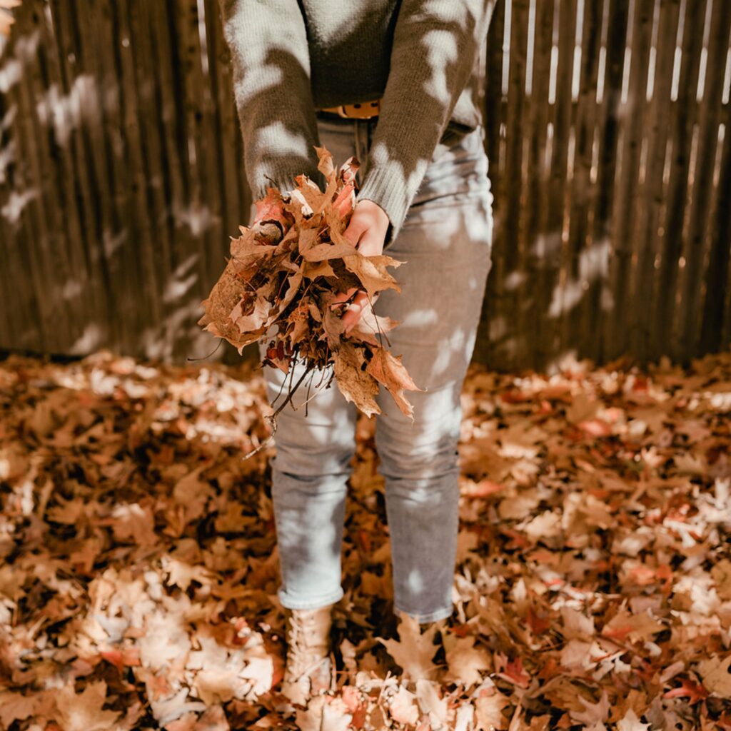 Rummaging through a leaf pile