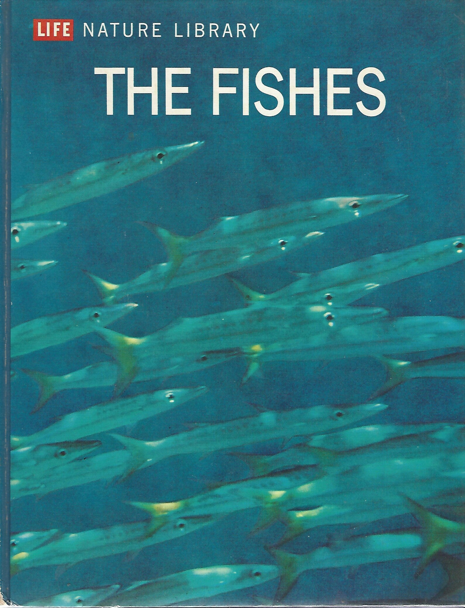 the fishes