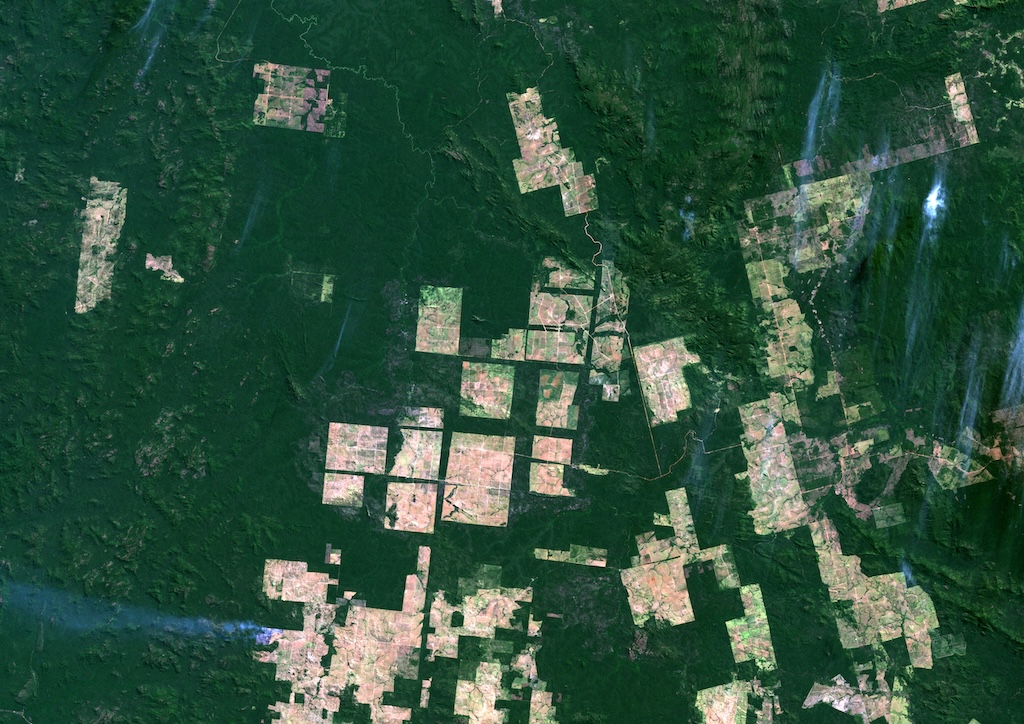 Satellite image showing deforestation in Para, Brazil.